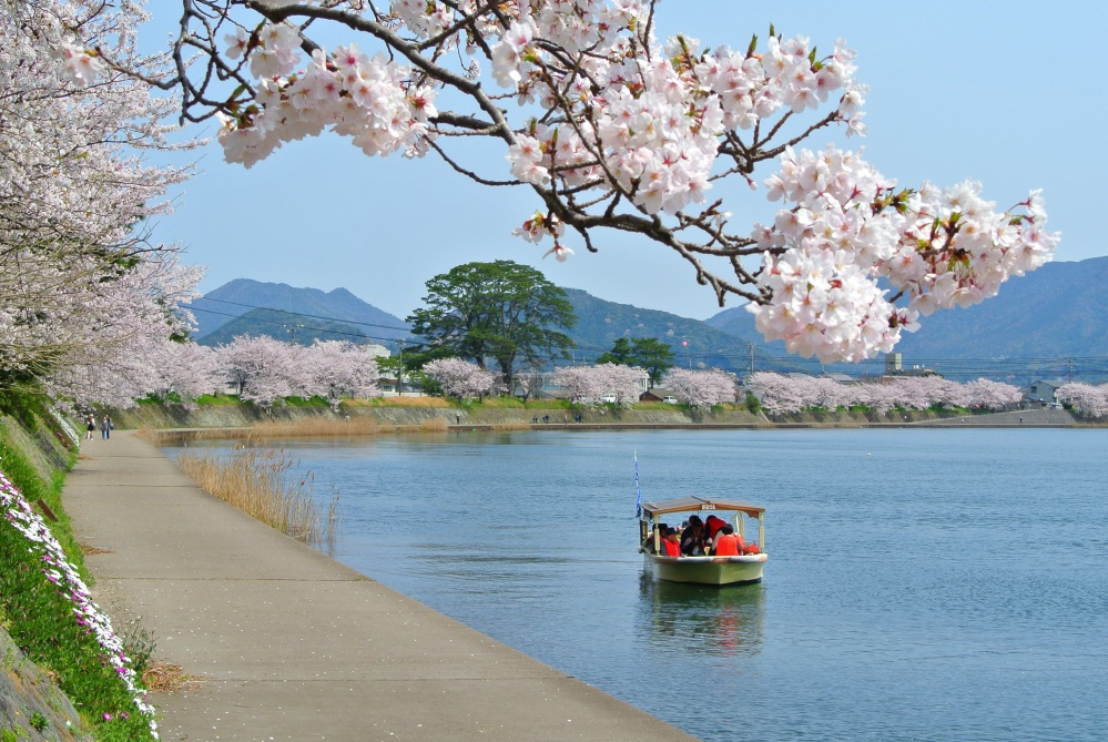 水の都「萩」を水上から堪能してみては!?