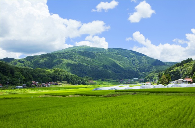 十種ヶ峰
